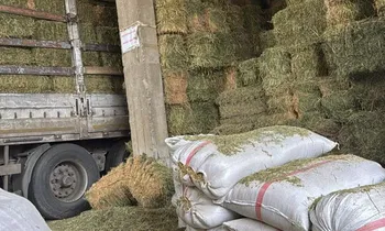 Savaş Çiftçiyi Vurdu! Gübre 1850 TL'de Kaldı Ama Ot 1000 TL'yi Buldu, Saman 10 Bin TL'ye Dayandı